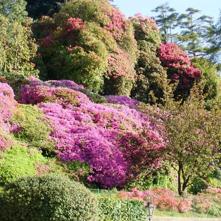Locazione Turistica Casa Hazel 度假居 *